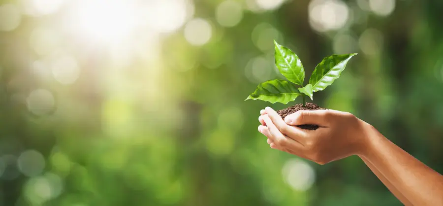 ITS Green: trasforma la tua passione per l’ambiente in una professione con un corso di specializzazione