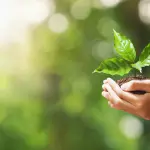 ITS Green: trasforma la tua passione per l’ambiente in una professione con un corso di specializzazione